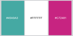Read more about the article How to Choose Colors for Make Your Site Attractive to Visitors