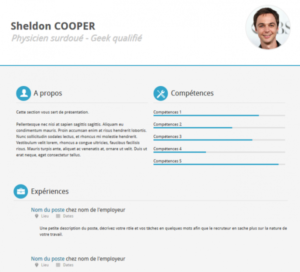 Read more about the article Simple C. Vitae Free Resume