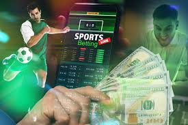 Discover BetWinner Your Ultimate Betting Experience